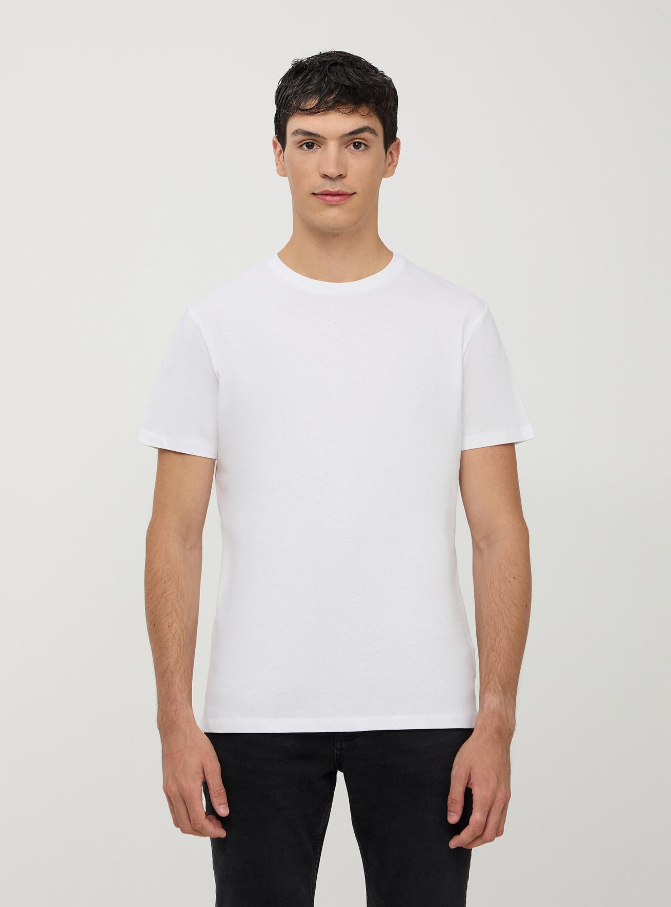 T-Shirt Homme Terranova