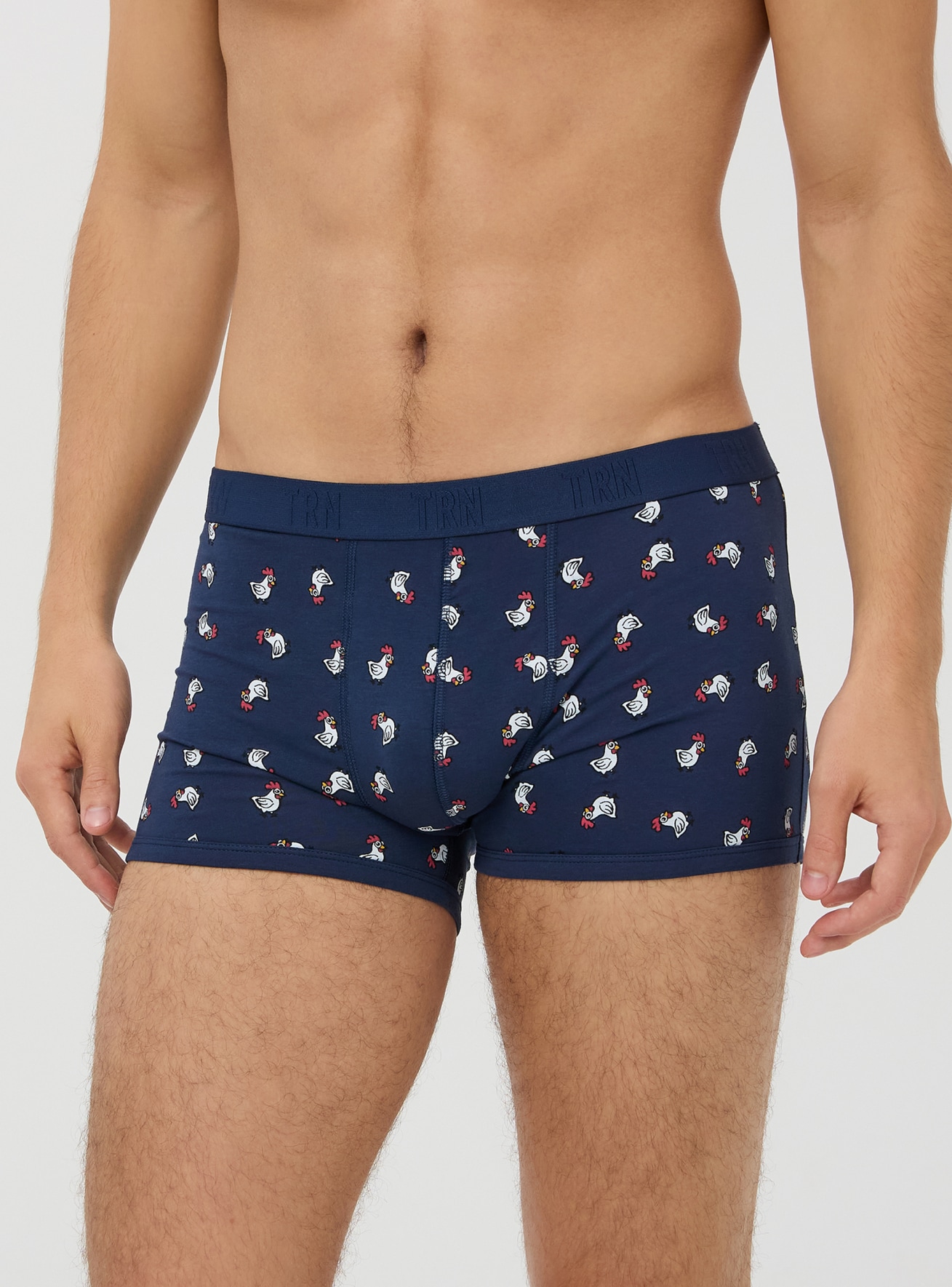 Slip Homme Terranova