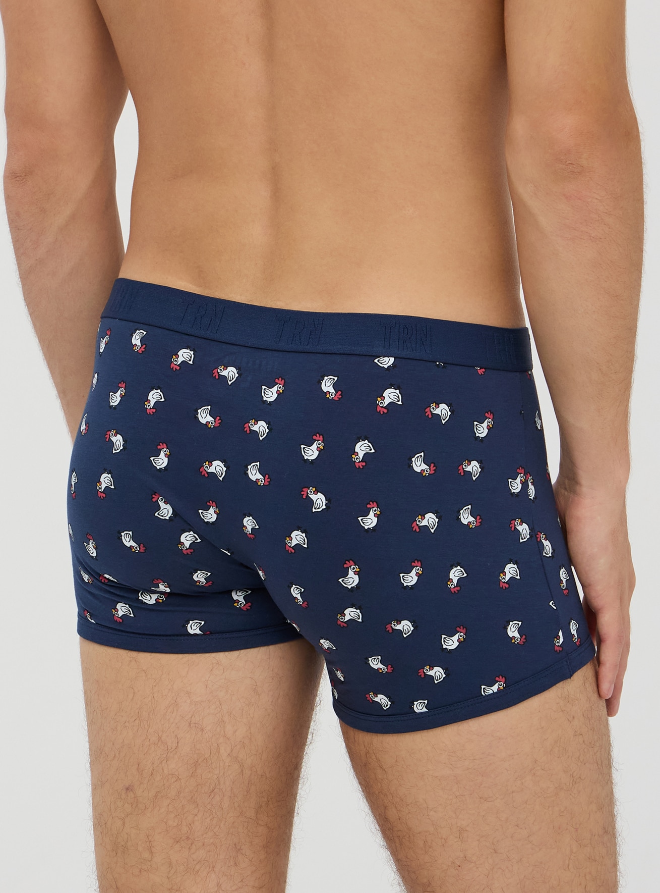 Slip Homme Terranova