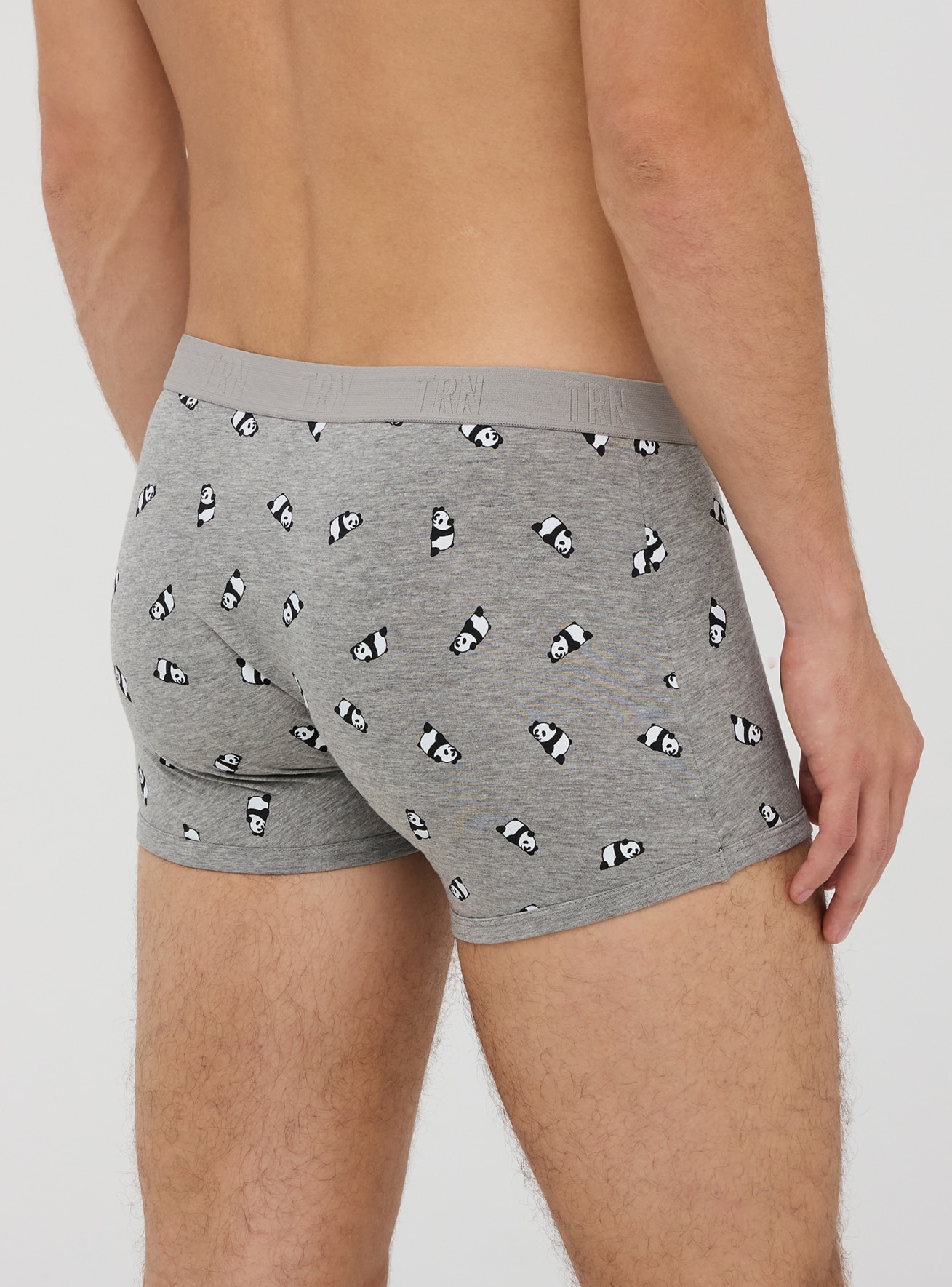 Slip Hombre Terranova