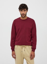 Sweater 3-5 Man Terranova