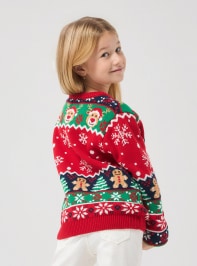 Sweater 3-5 Girls Terranova