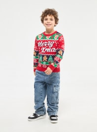 Sweater 3-5 Boys Terranova