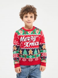 Sweater 3-5 Boys Terranova