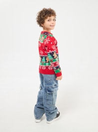 Sweater 3-5 Boys Terranova