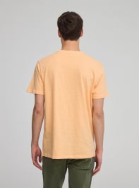 T-Shirt Homme Terranova