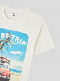 T-Shirt Homme Terranova