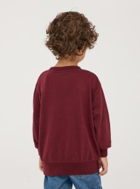 Sweat shirt Boys Terranova