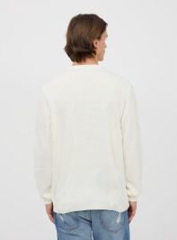 Pullover 3-5 Homme Terranova