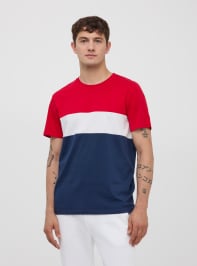 T-Shirt Homme Terranova