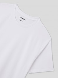 T-Shirt Homme Terranova