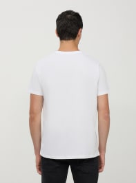 T-Shirt Homme Terranova