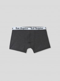 Slip Homme Terranova